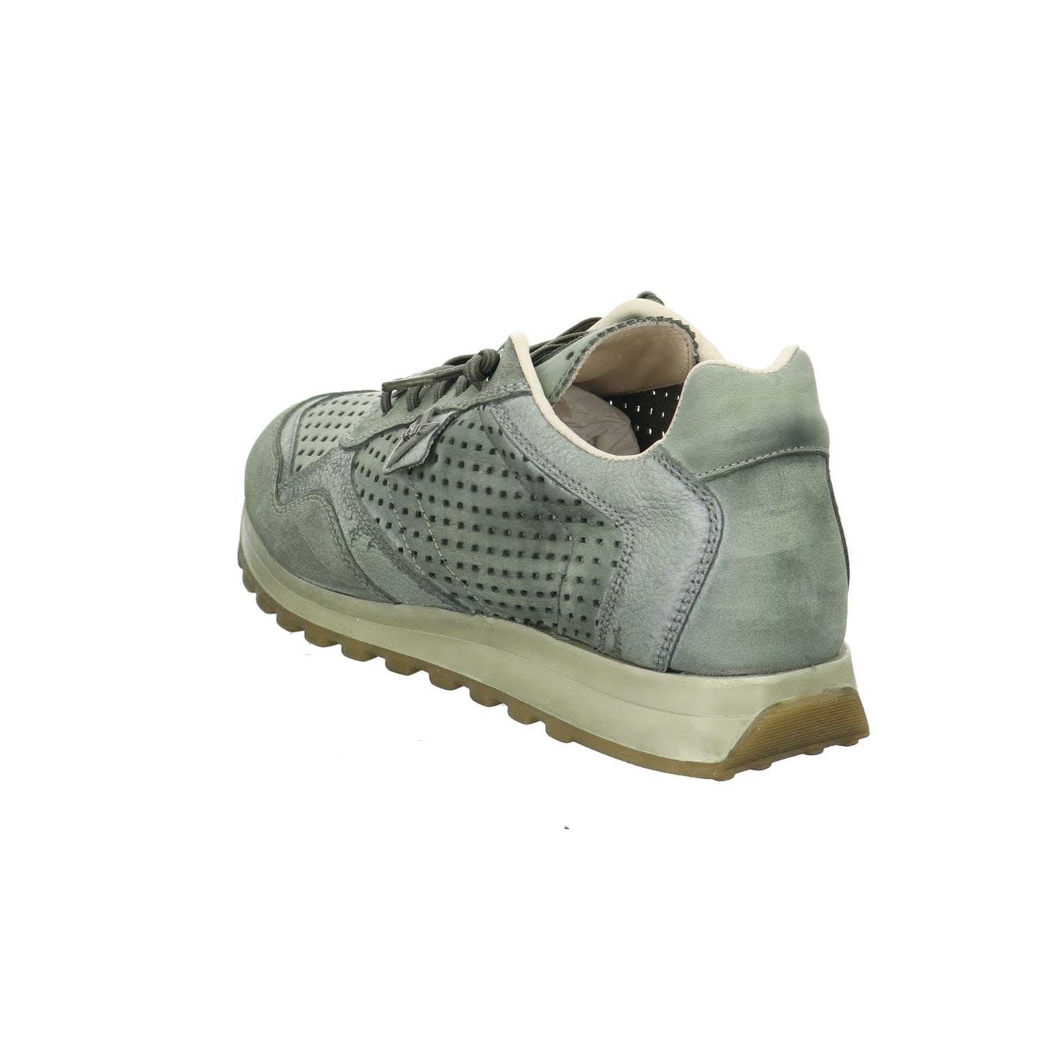 Cetti | C-848 V26-USED TIN KOMBAT