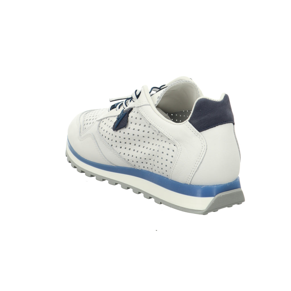 Cetti | C-848 V26-NATURE WHITE NAVY