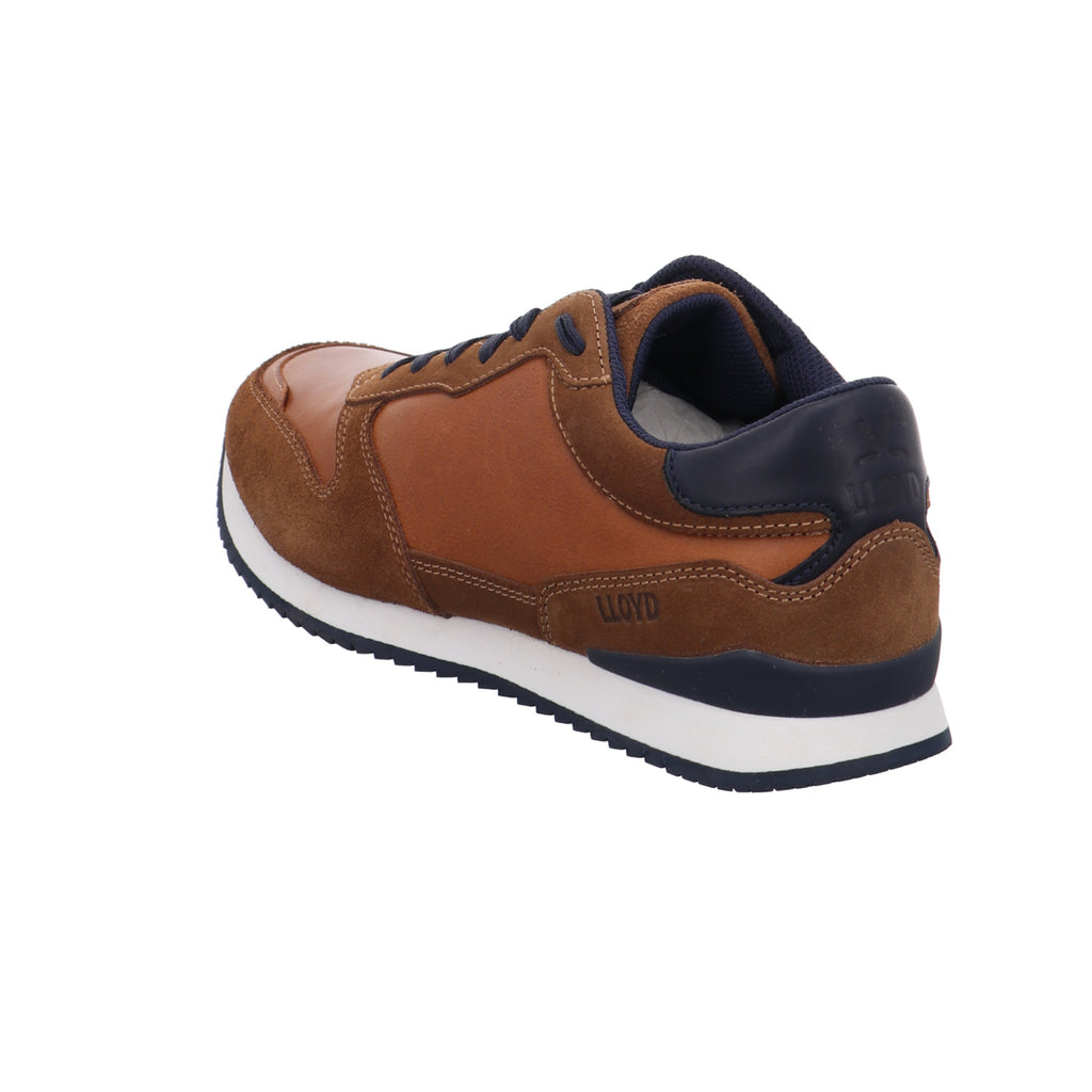 Lloyd | 2590016