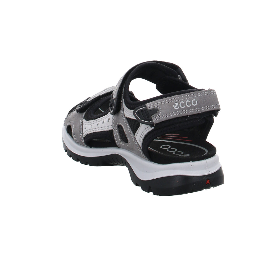 Ecco | 069563/02244