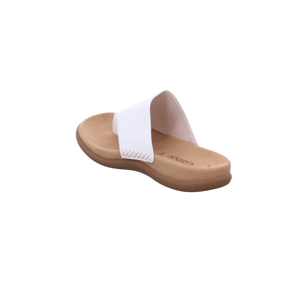 Gabor | 03.700.21