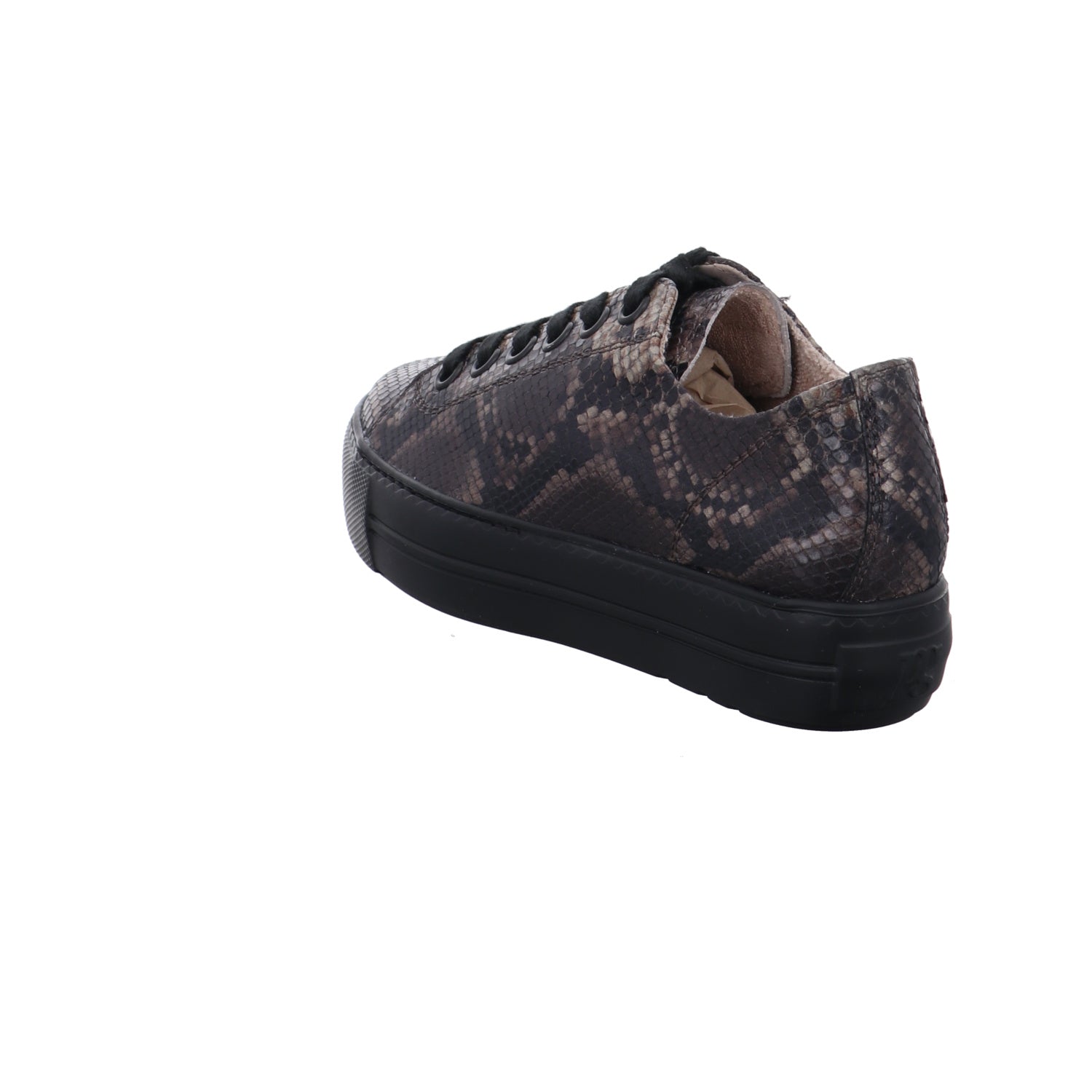 Paul Green | 4790-818