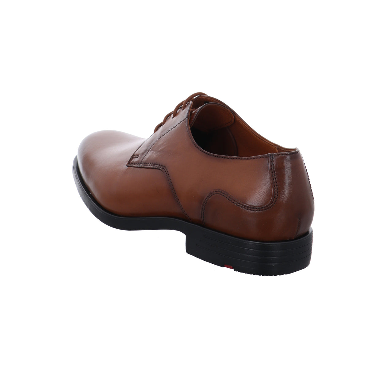 Lloyd | 2552003