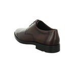 Lloyd I 2550407