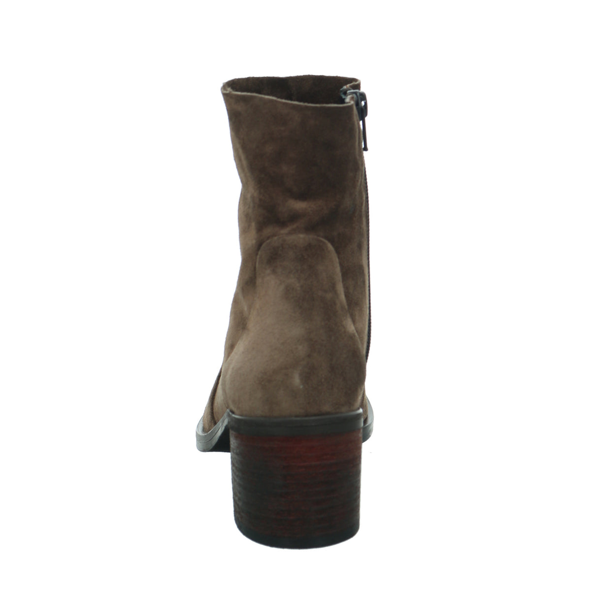 Donna Carolina | 46.005.001 Terra