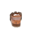 Verbenas | 330062V-0220-0915