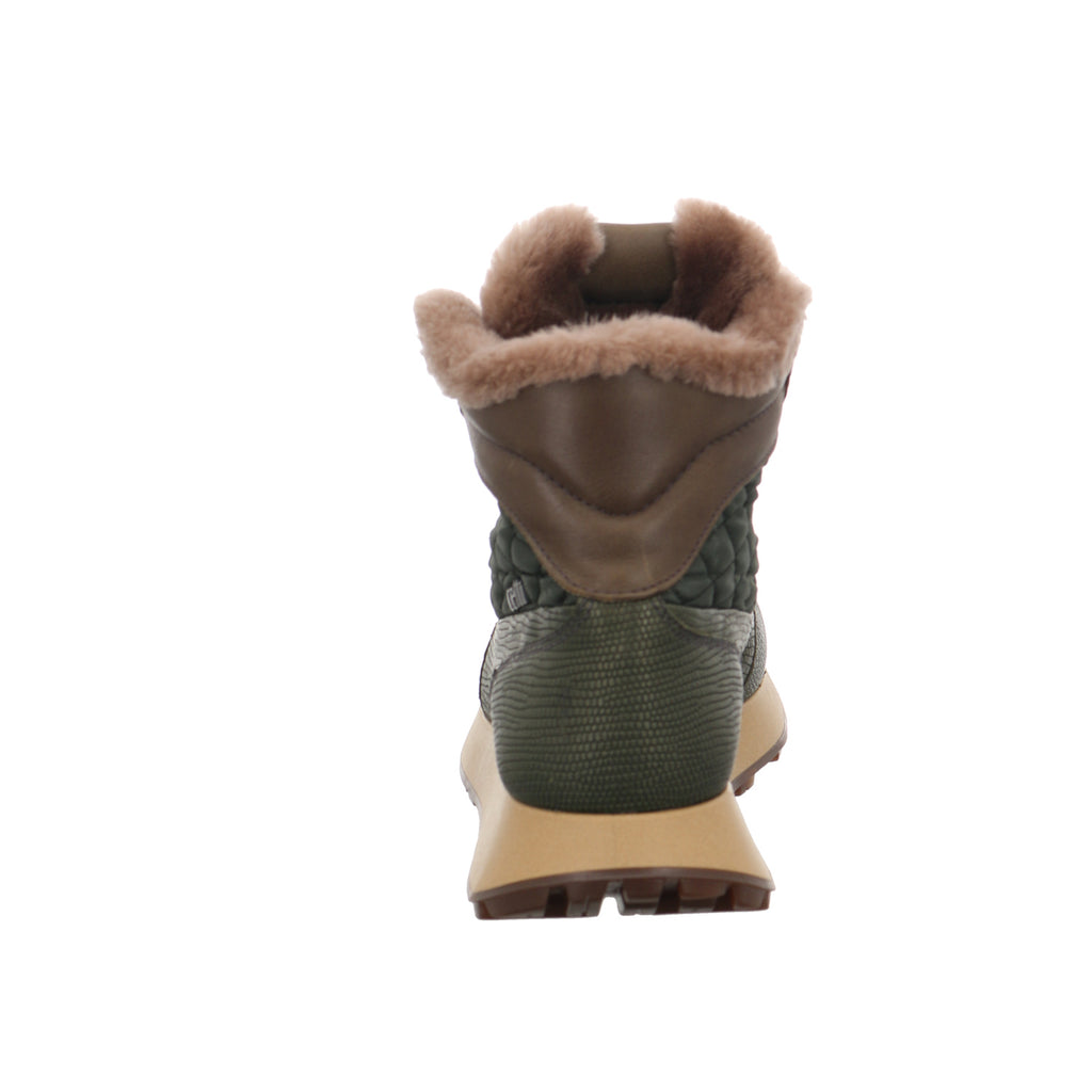 Cetti | C1229