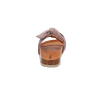 Verbenas | 330047V-0268-746
