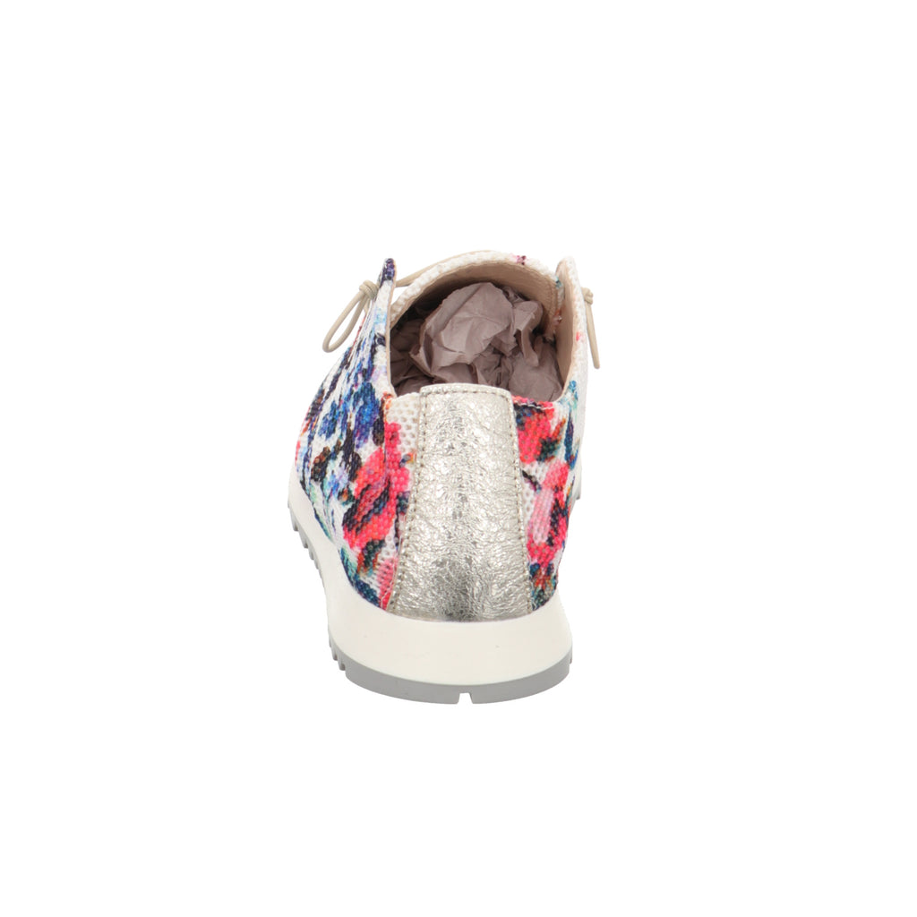Donna Carolina | 37763041