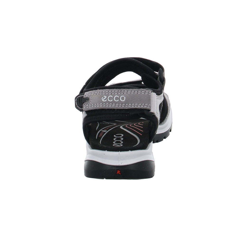 Ecco | 069563/02244