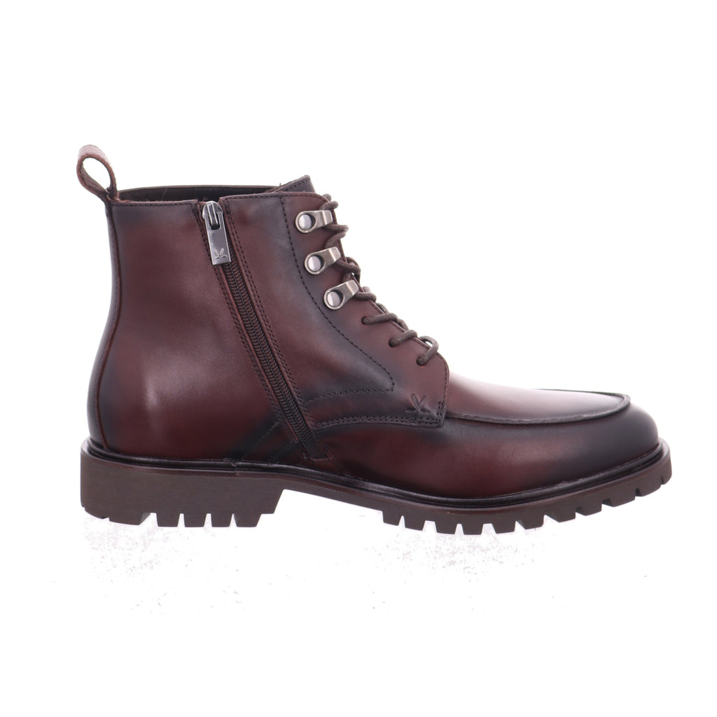 Lloyd | 2664305