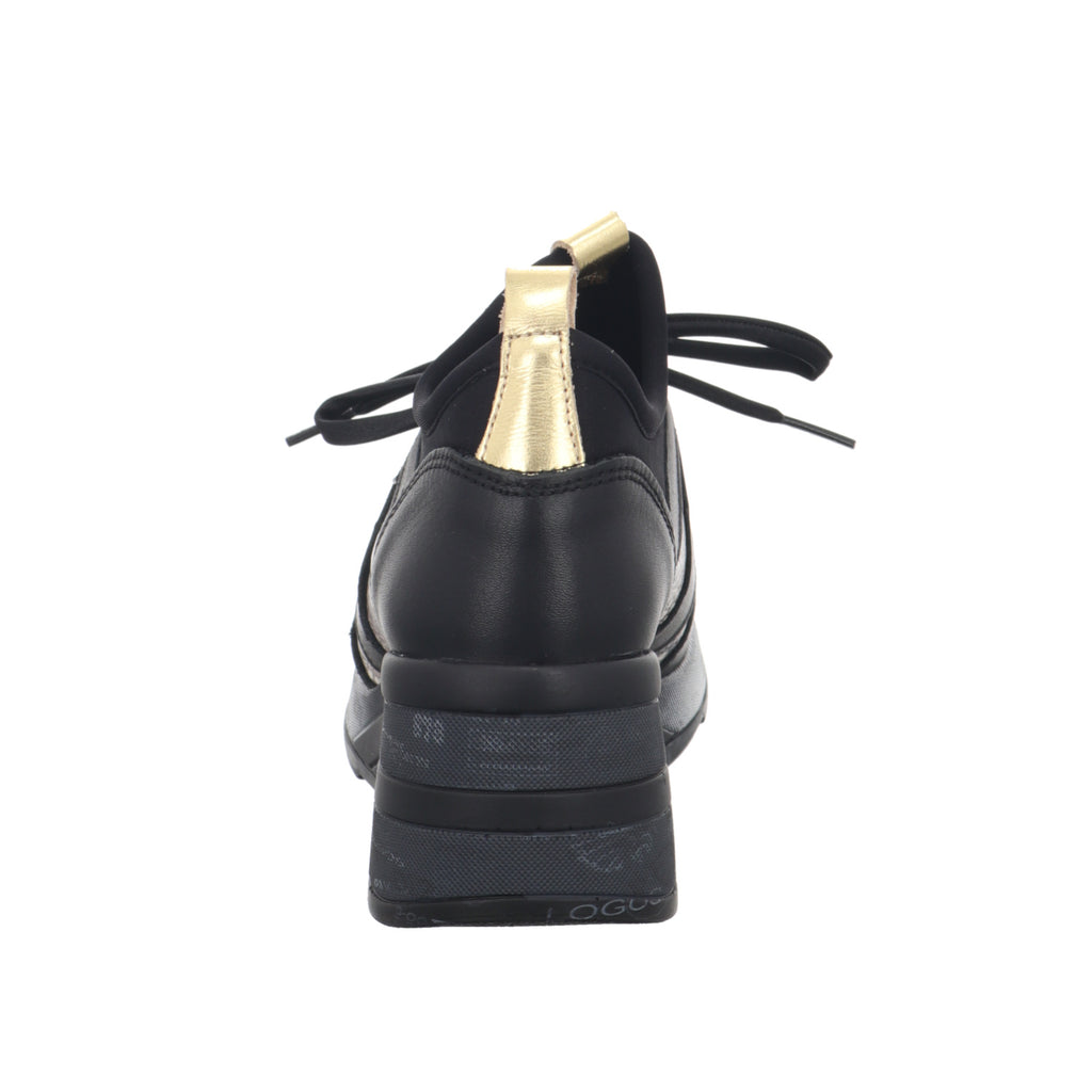 Cetti | C1204