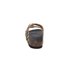 Scholl I F30067-2331