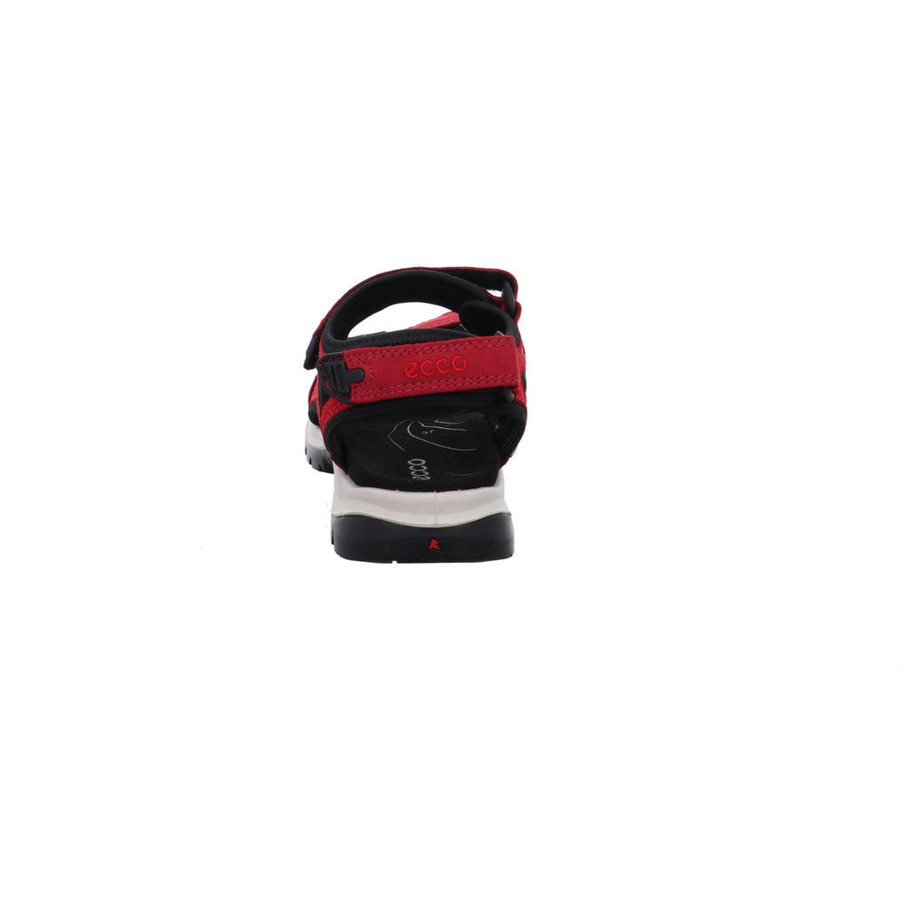 Ecco | 069563/56447
