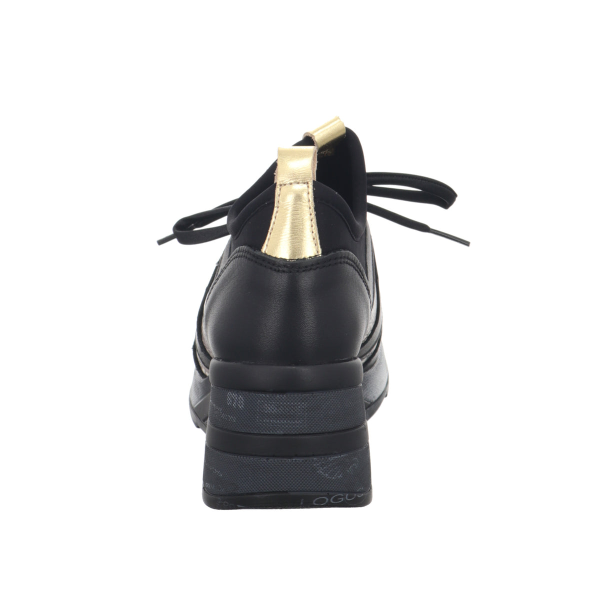 Cetti | C1204