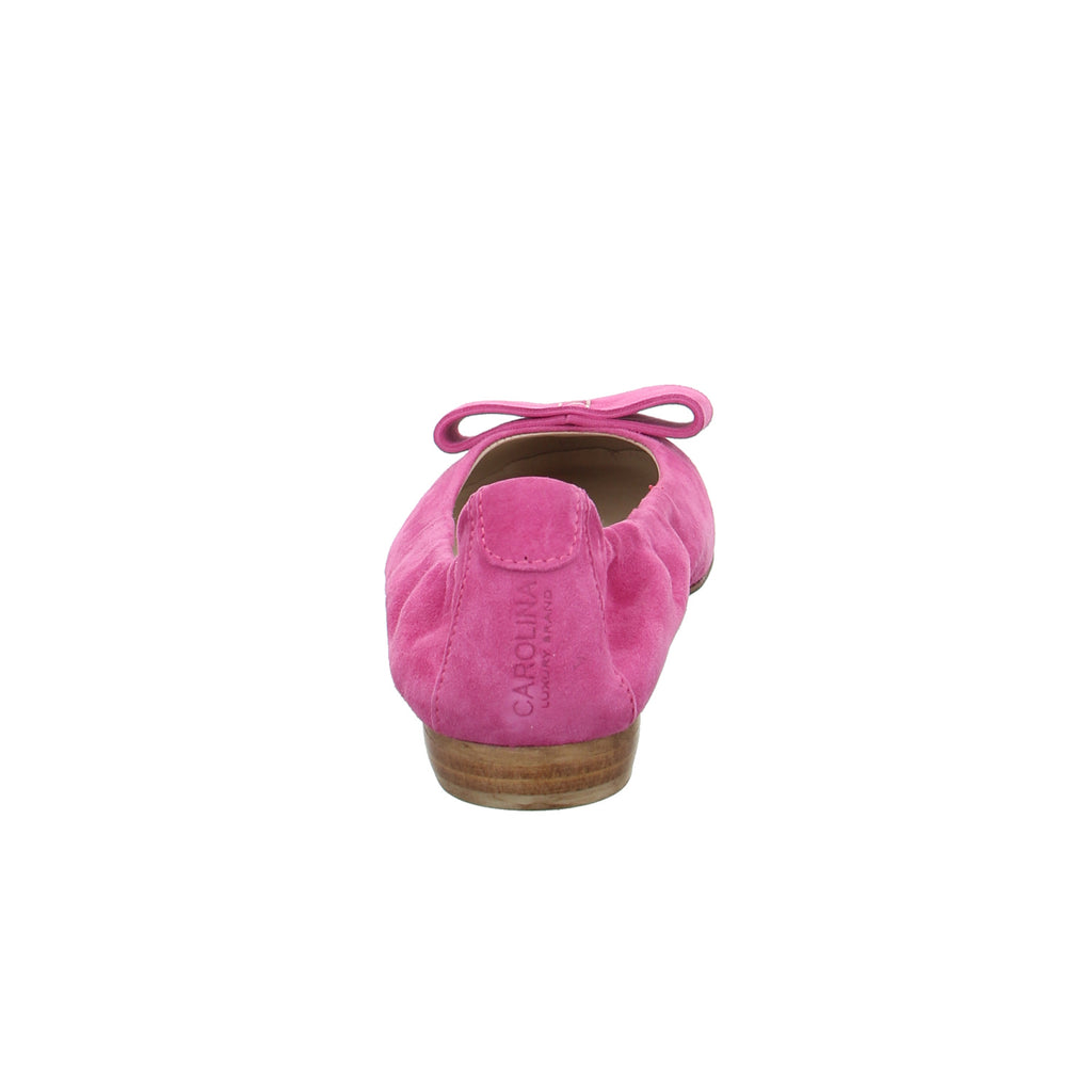Donna Carolina I PRIS 49.170.035 PEONIA