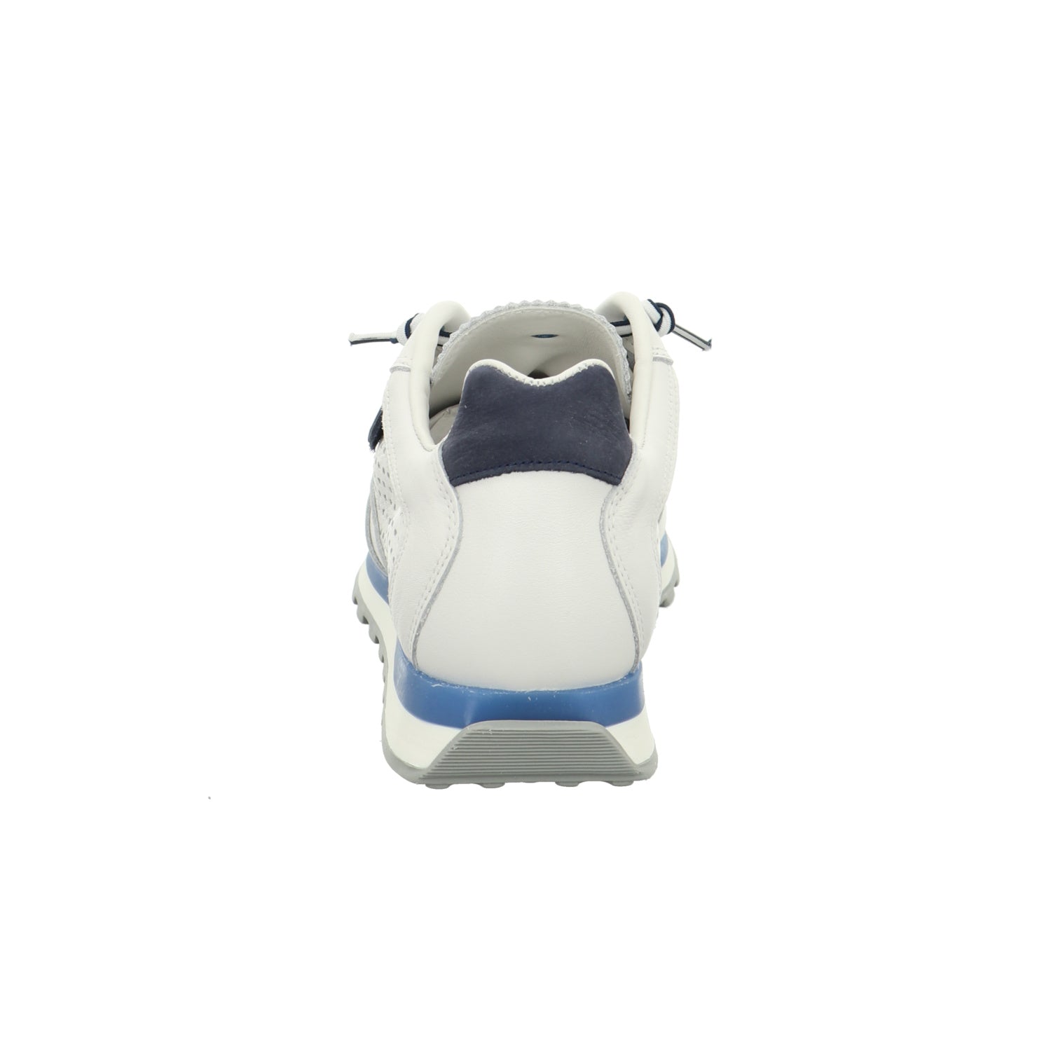 Cetti | C-848 V26-NATURE WHITE NAVY