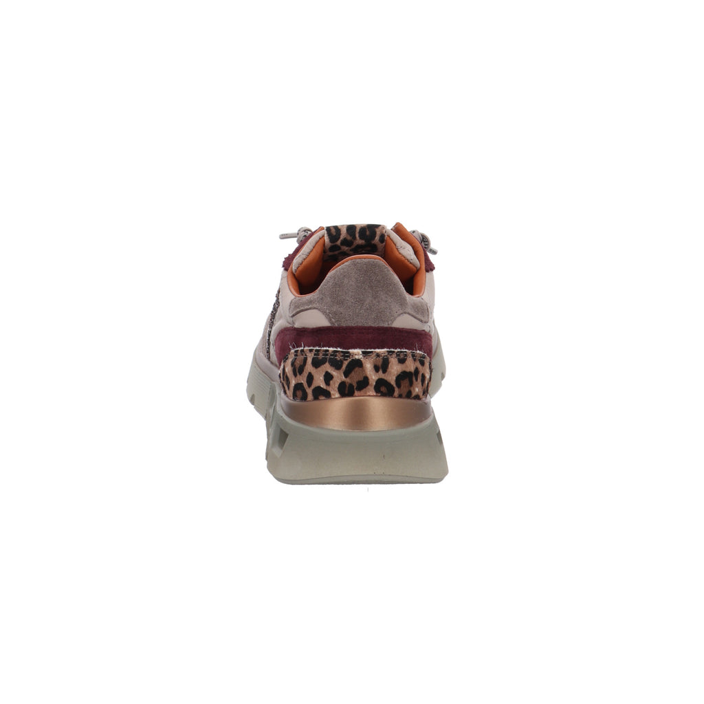 Cetti I