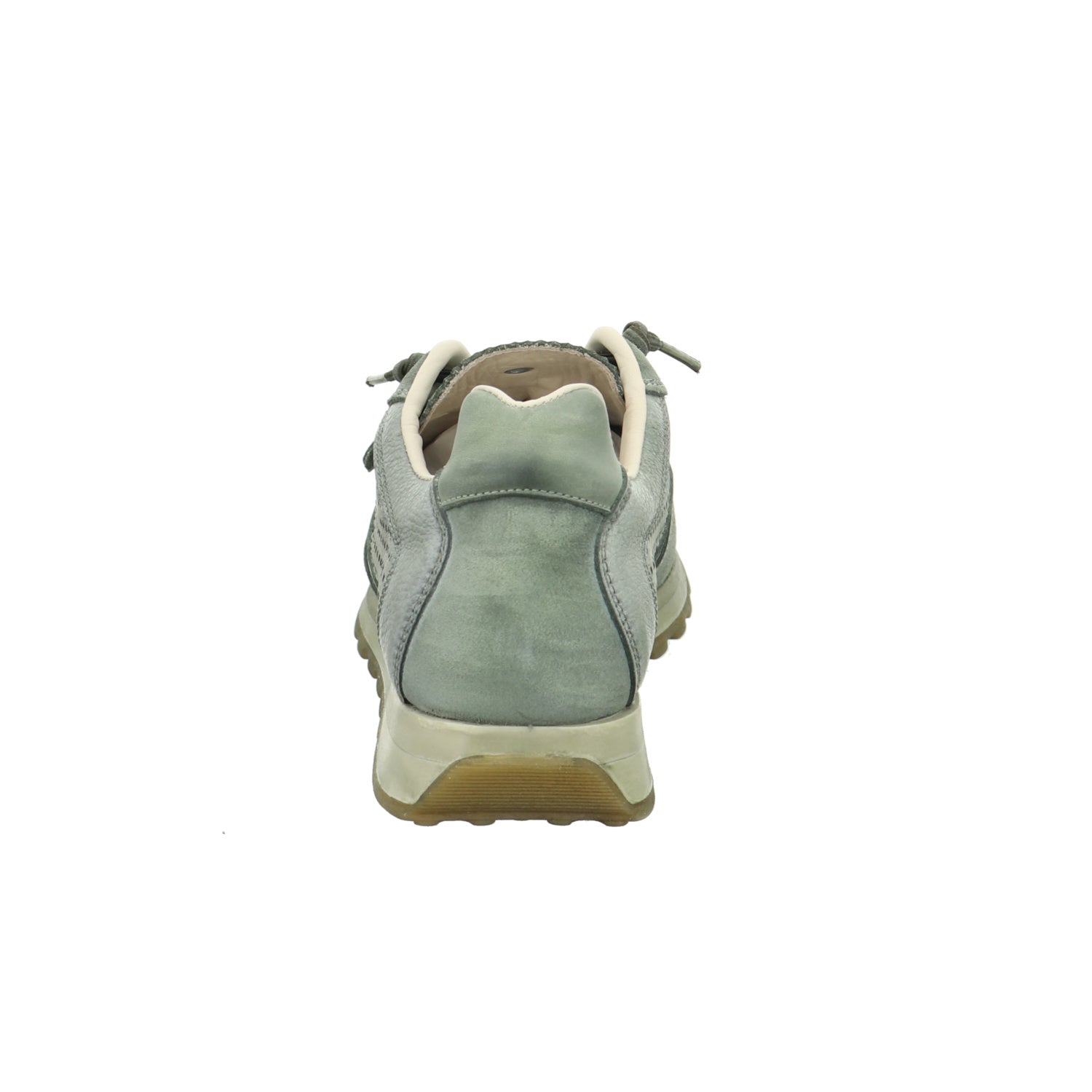 Cetti | C-848 V26-USED TIN KOMBAT