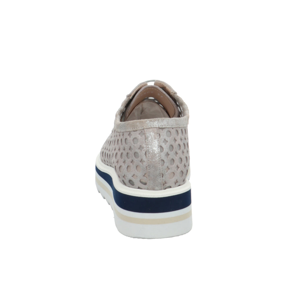 Pertini | 171W13302C16