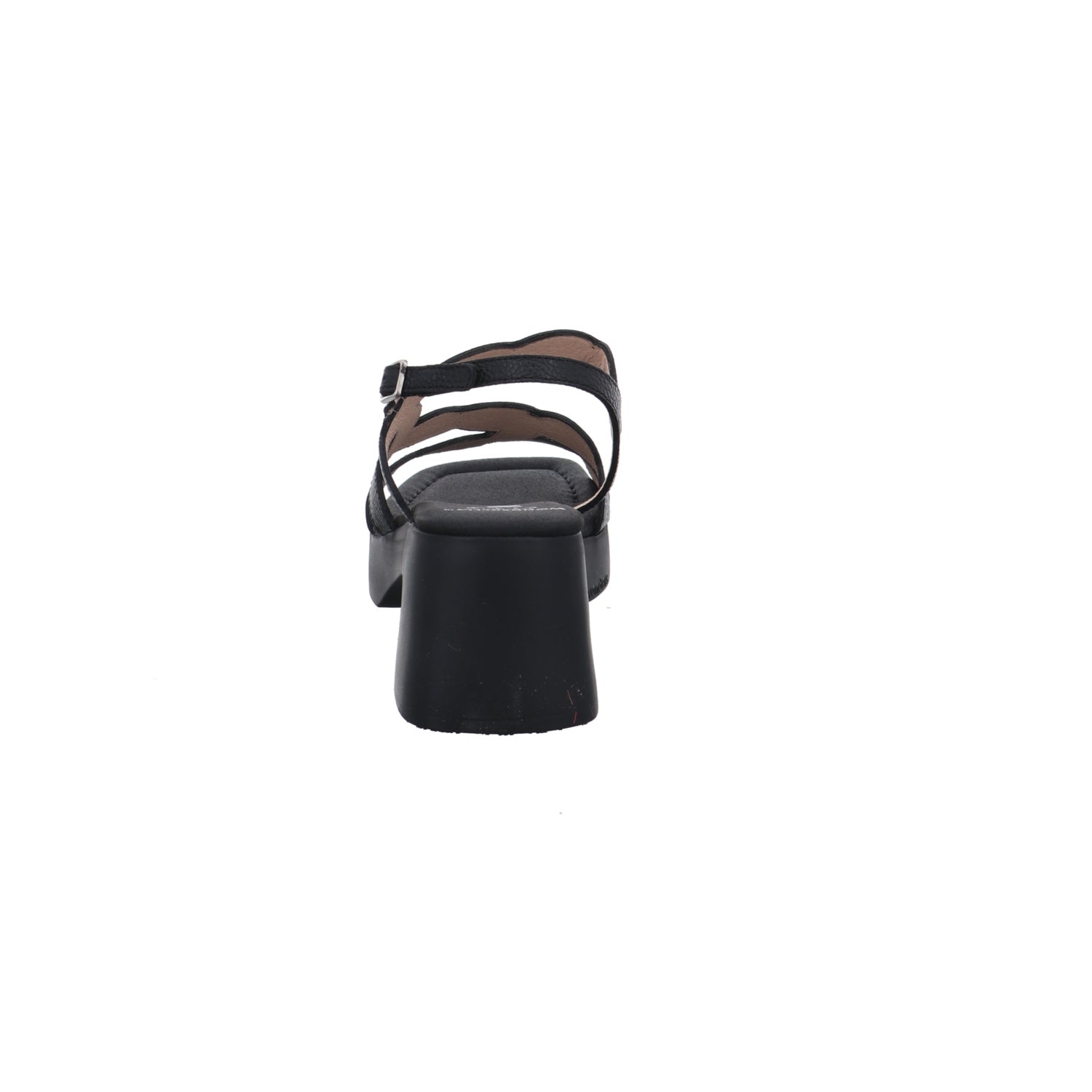 Wonders | D-1020-NEGRO