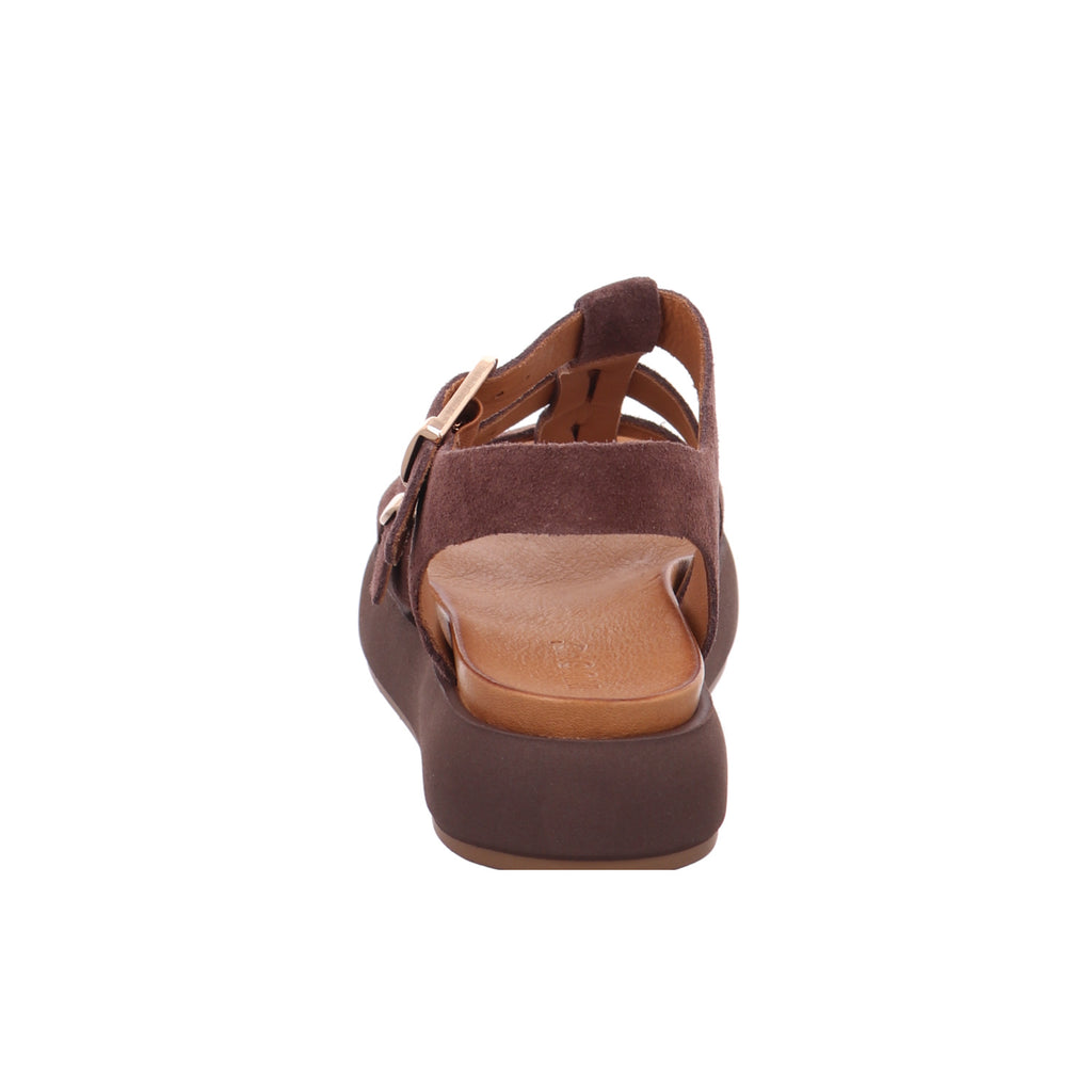 Inuovo |