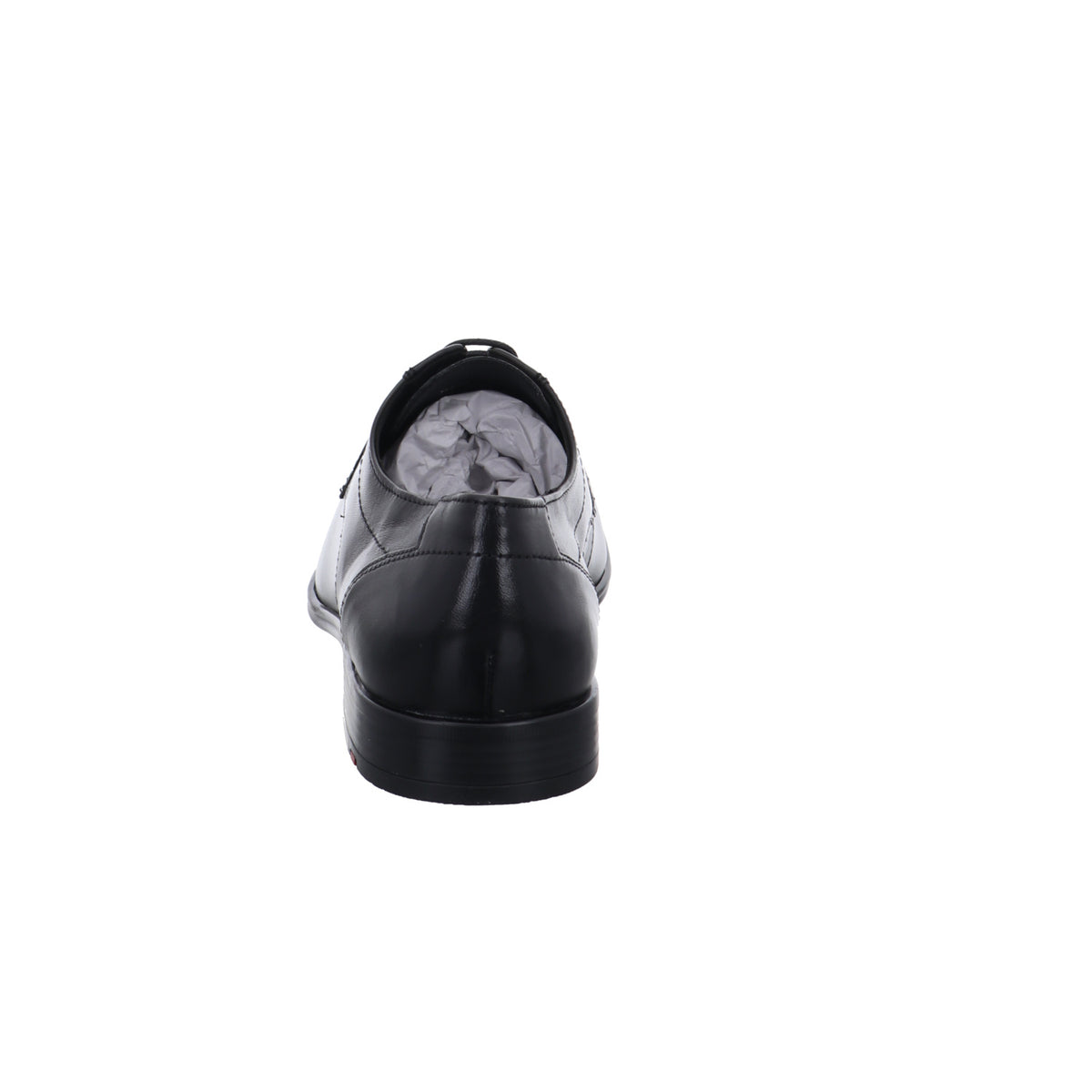 Lloyd | 2550500