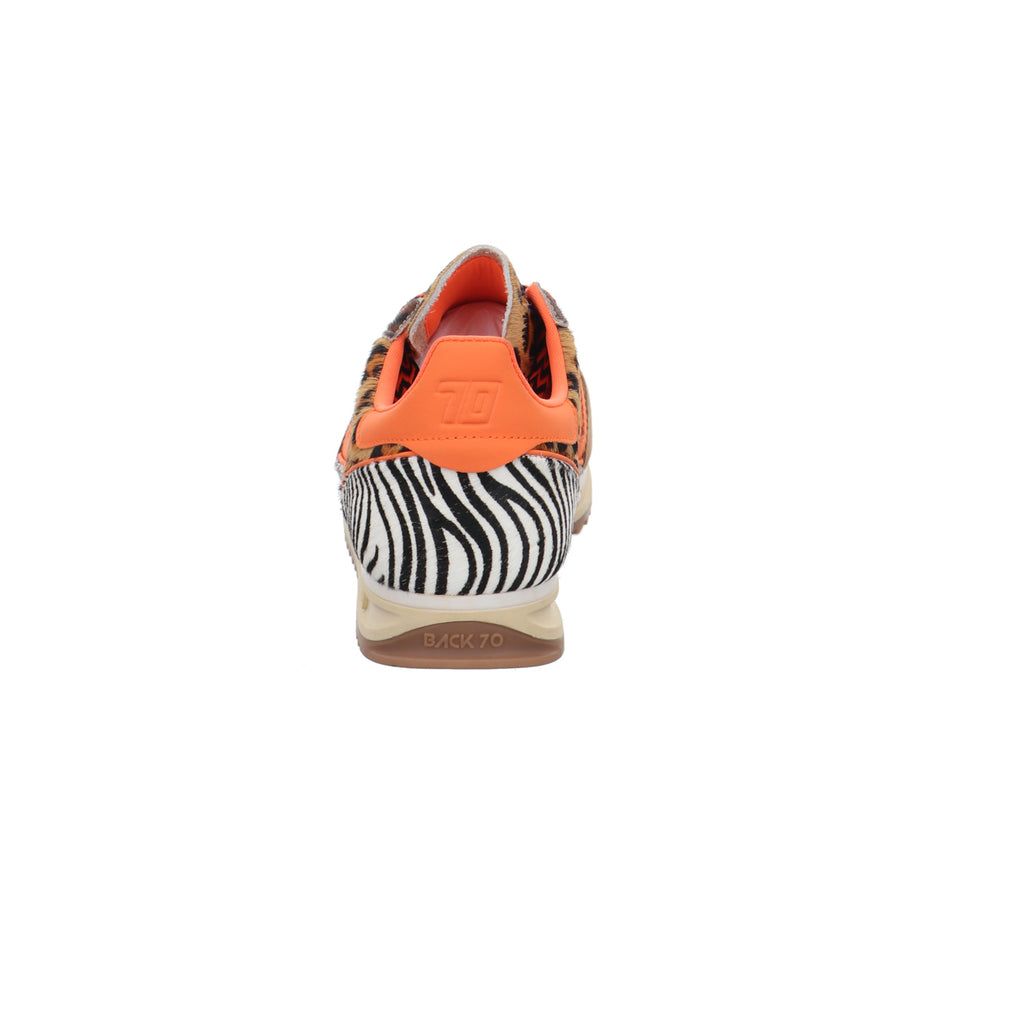 Back 70 | 108009-000031