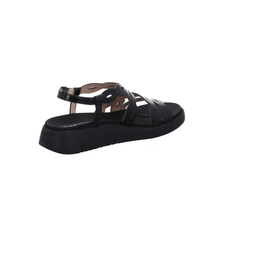 Wonders | C-6542-NEGRO