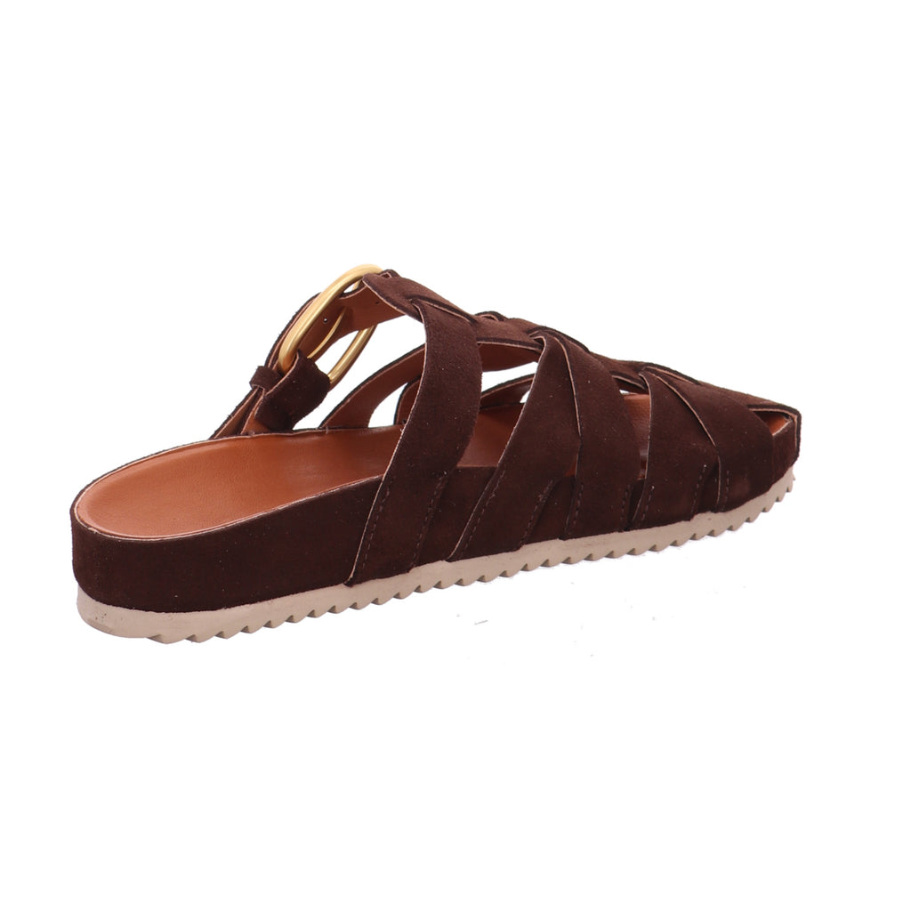 Verbenas I 6802250001-038