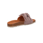 Verbenas | 330047V-0268-746