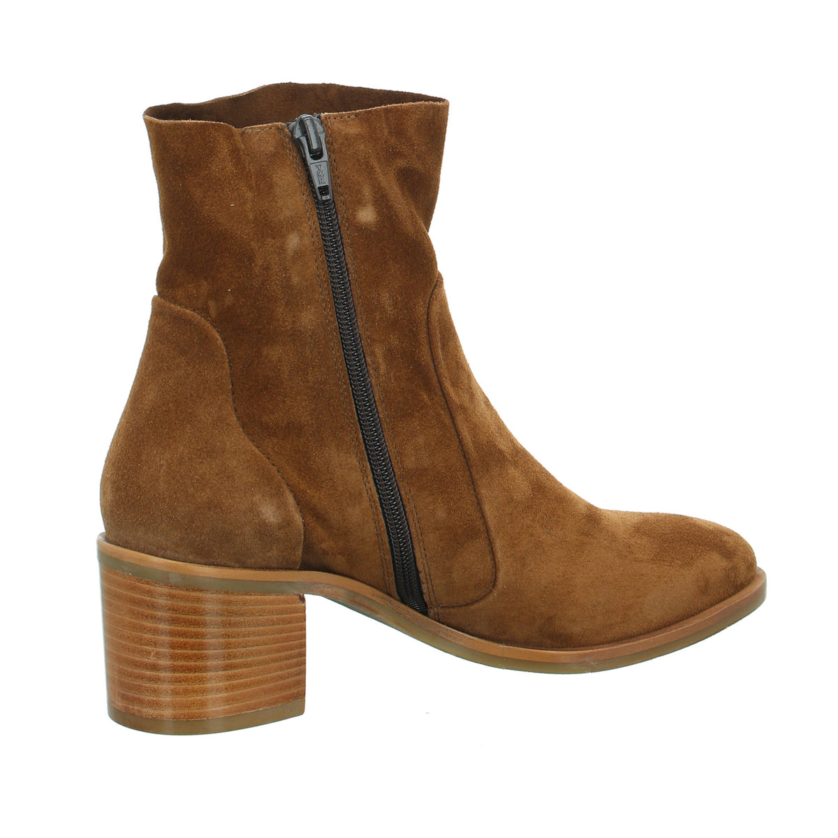 Donna Carolina | 50005001-TABACCO