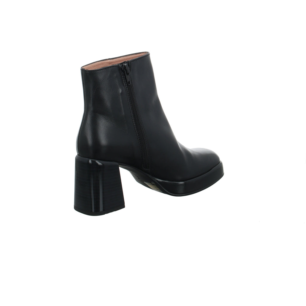 Hispanitas | HI233031