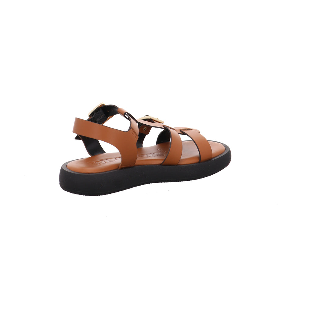 Wonders | AB-1012-CUERO