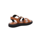 Wonders | AB-1012-CUERO