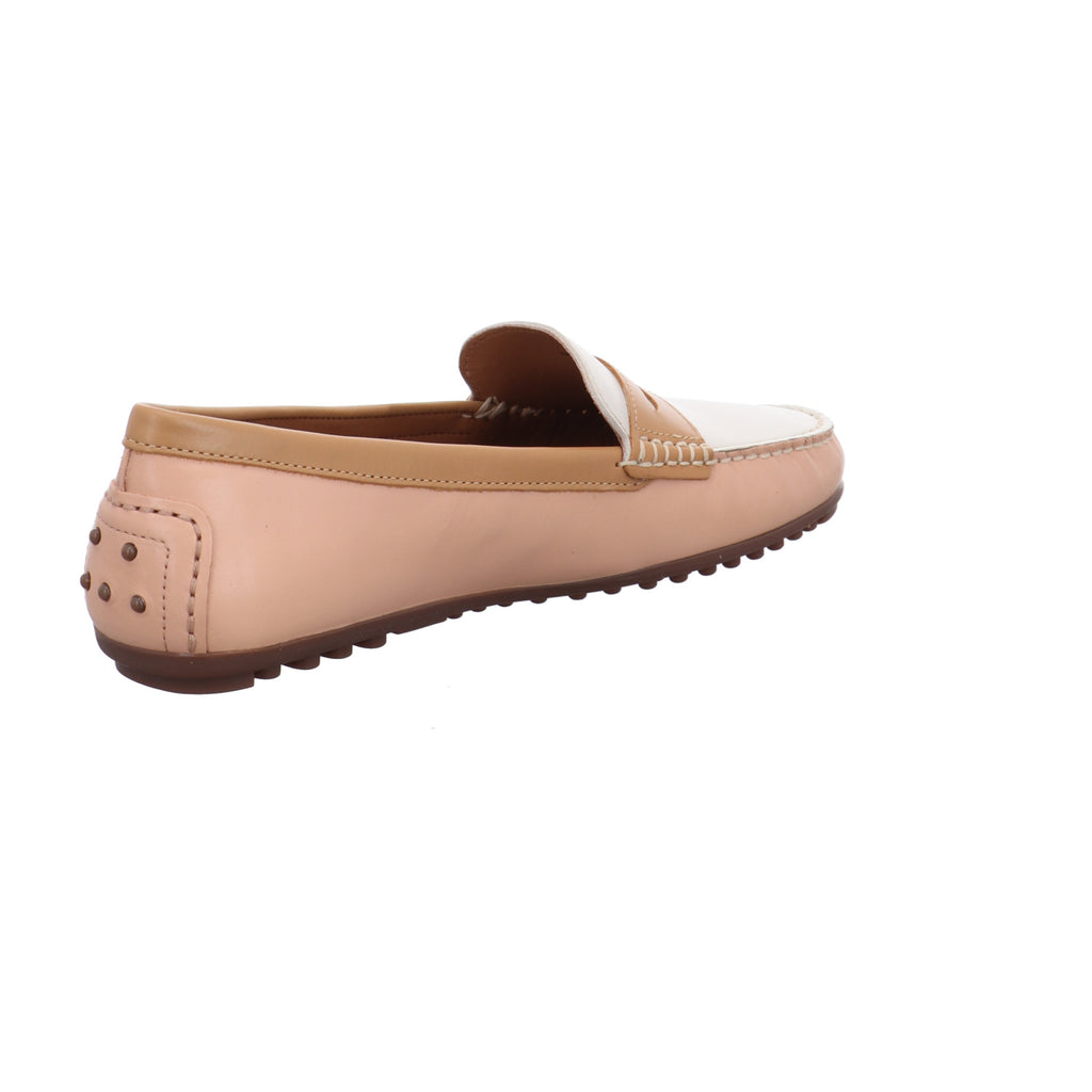 Wirth | 75506-candy/savana/birch