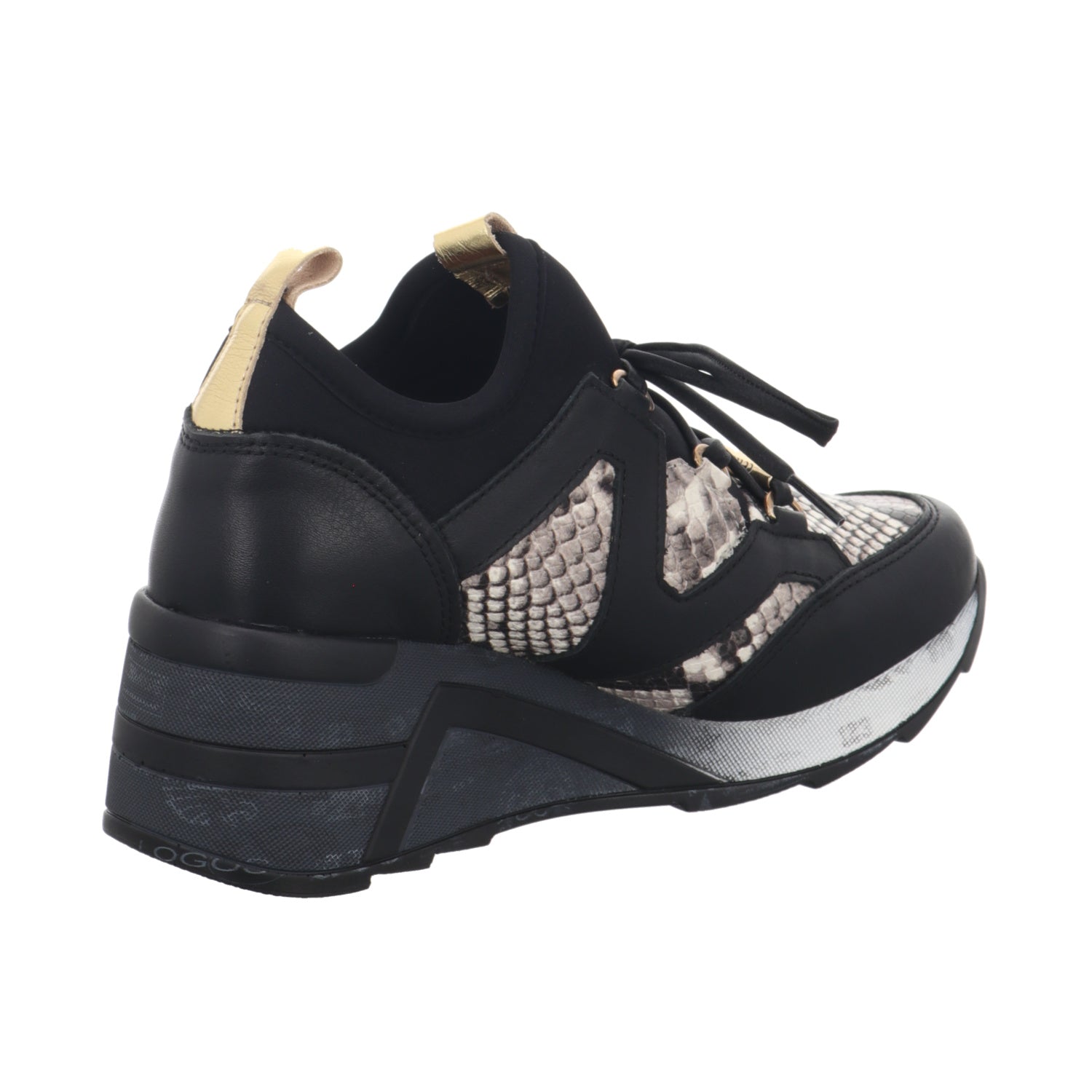 Cetti | C1204
