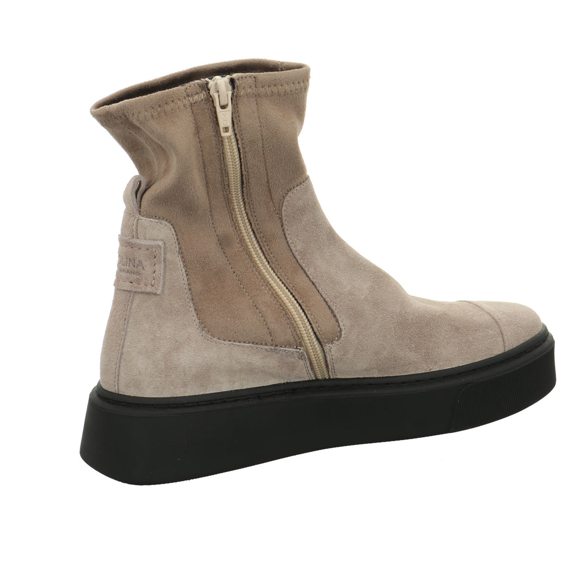 Donna Carolina | 48168007