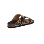 Scholl I F30067-2331