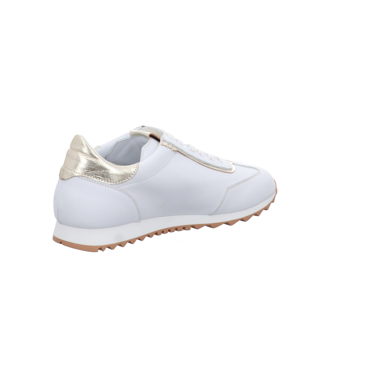 Donna Carolina | 55670117-001