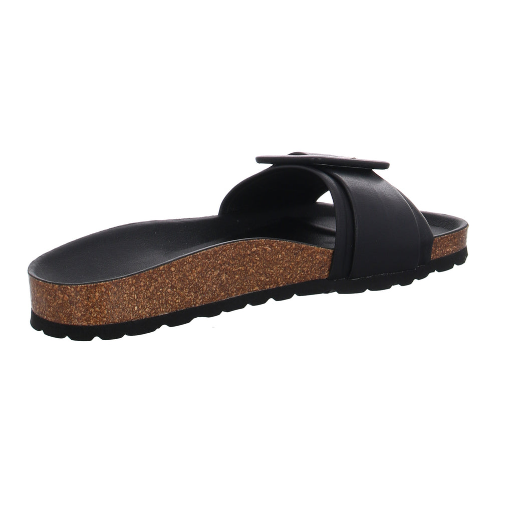 Verbenas | 330402V-0014-0042