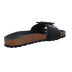 Verbenas | 330402V-0014-0042