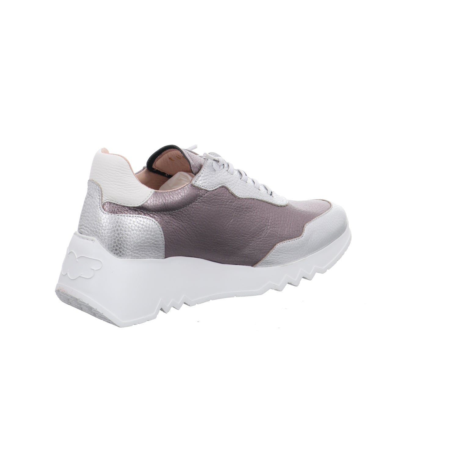 Wonders | E-6760-Plata/Plom