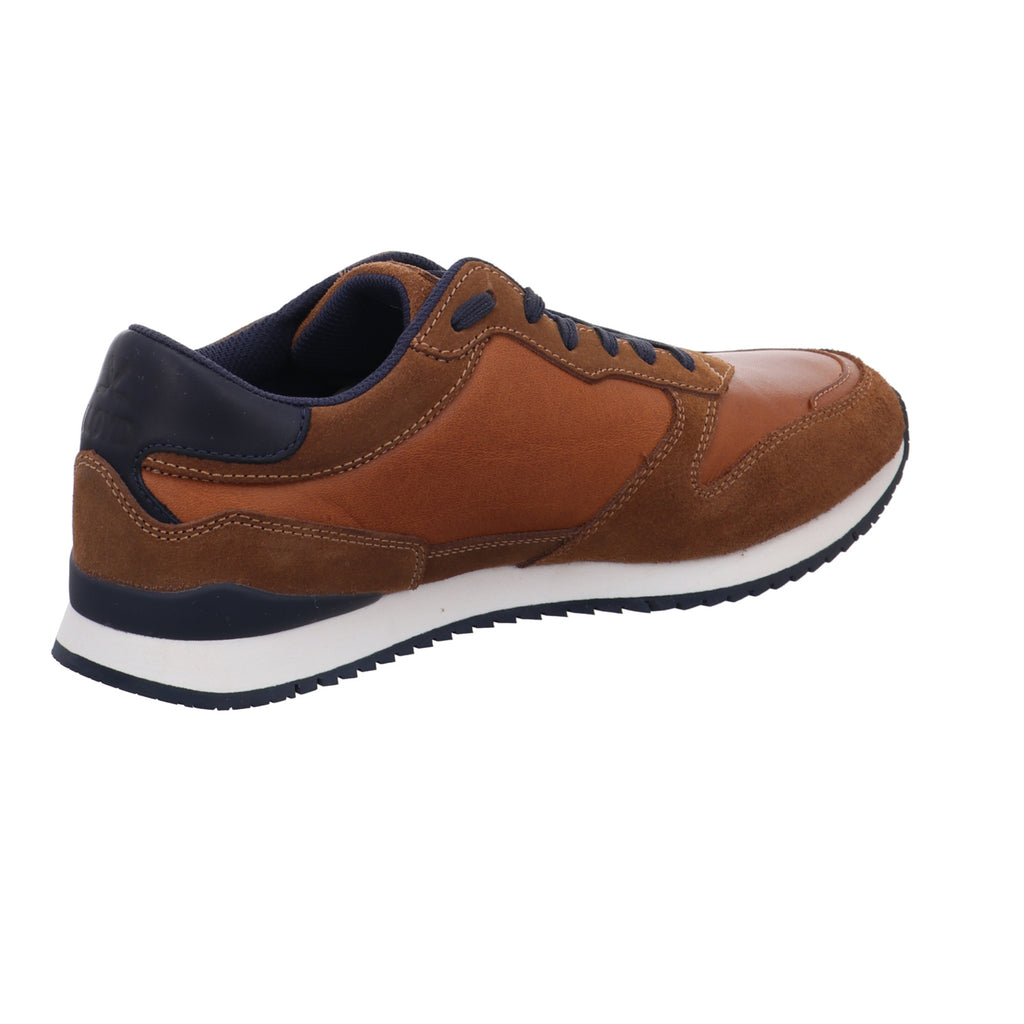 Lloyd | 2590016