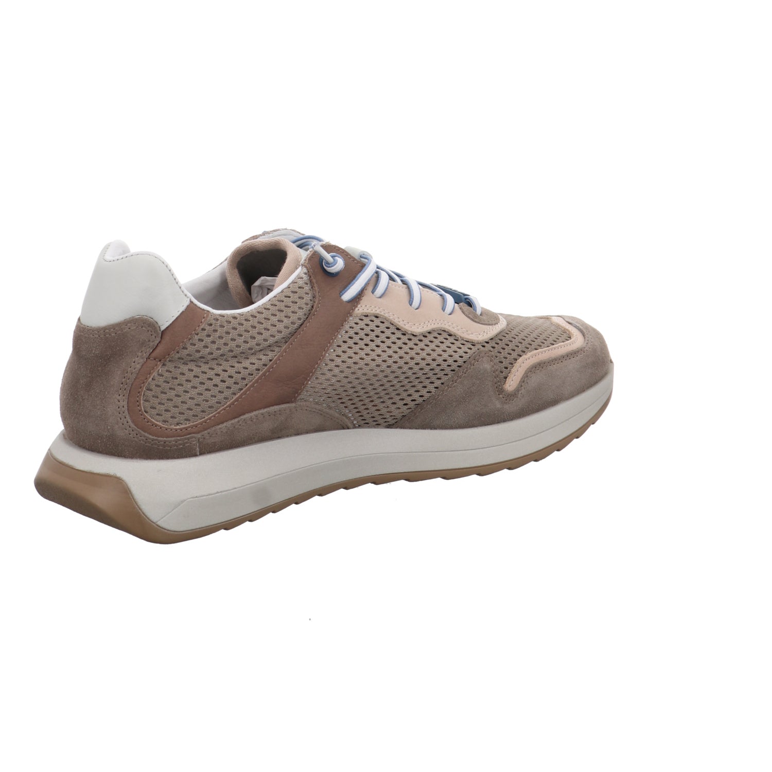 Cetti I C-1382 EXP