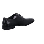 Lloyd | 2550500