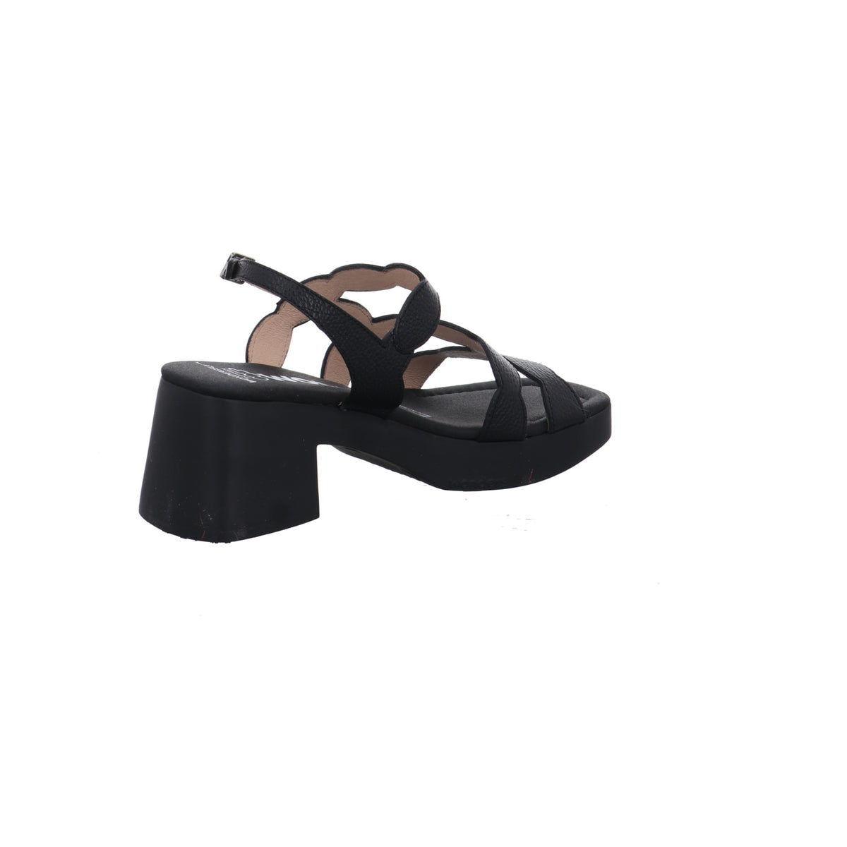 Wonders | D-1020-NEGRO