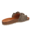 Verbenas | 330062V-0220-0915