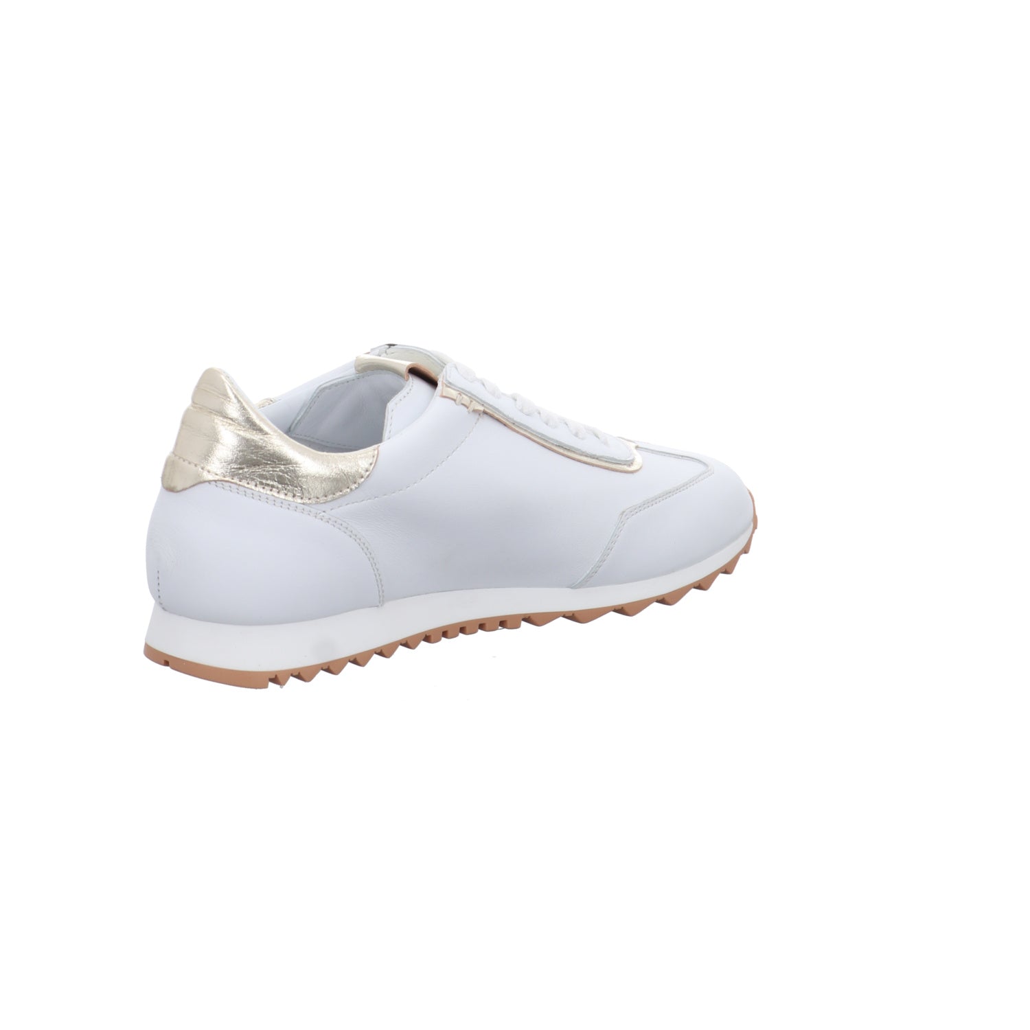 Donna Carolina | 55670117-001