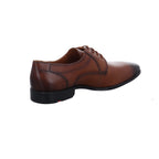 Lloyd | 2550503